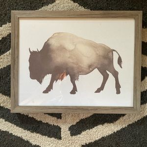 Buffalo Framed Print